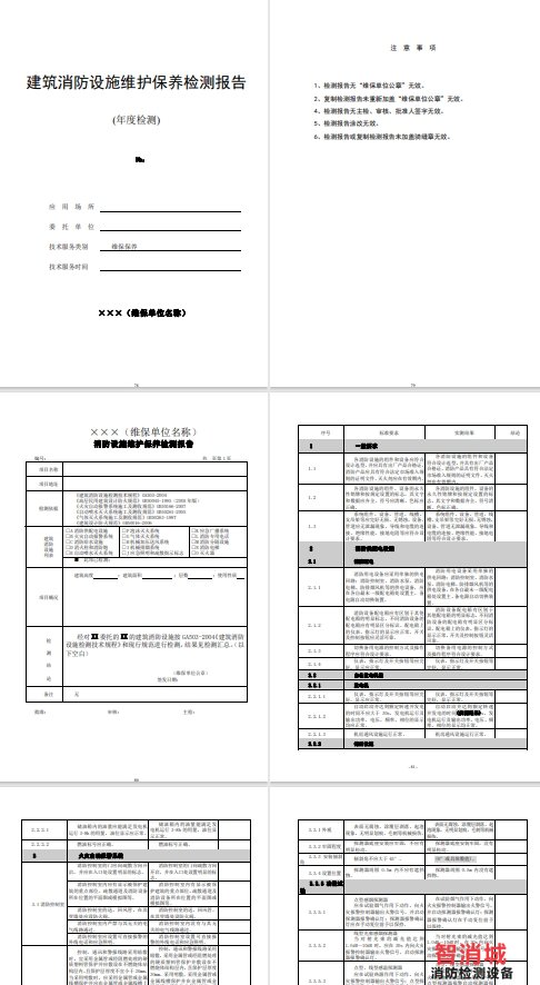 消防设施维护保养检测报告模板